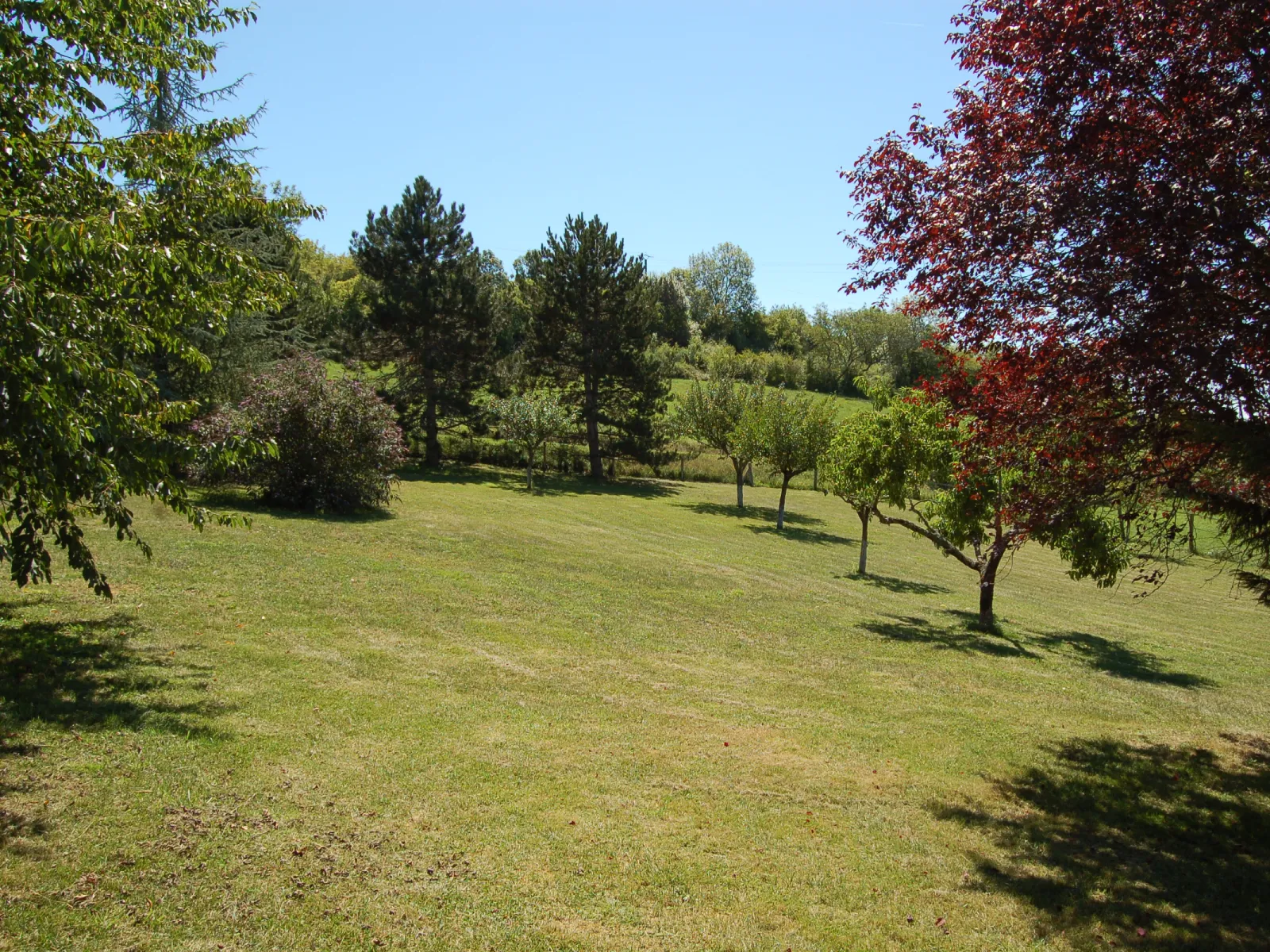 Vue du jardin arboré du gîte à Fourmagnac